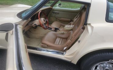 Chevrolet-Corvette-1981-Tan-Beige-2