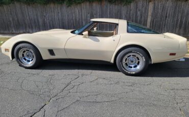 Chevrolet-Corvette-1981-Tan-Beige-21