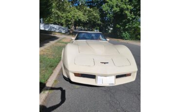 Chevrolet-Corvette-1981-Tan-Beige-28
