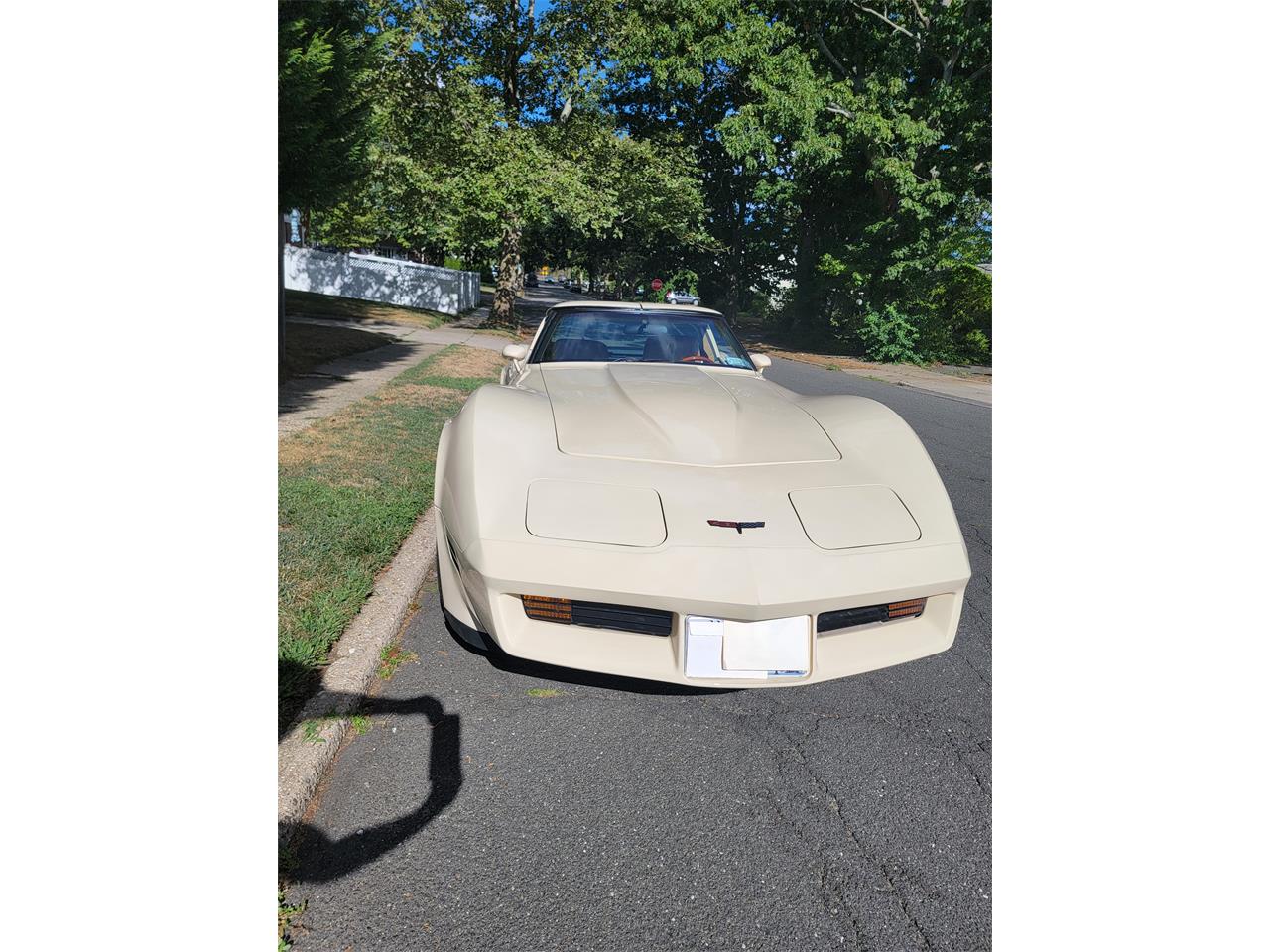 Chevrolet-Corvette-1981-Tan-Beige-28