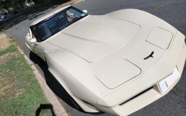 Chevrolet-Corvette-1981-Tan-Beige-29