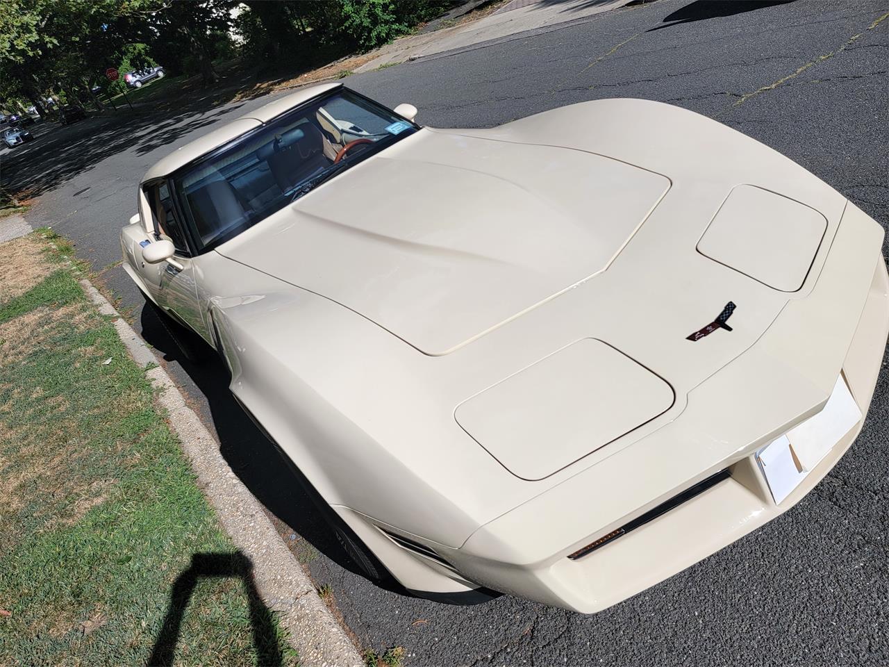 Chevrolet-Corvette-1981-Tan-Beige-29