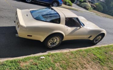 Chevrolet-Corvette-1981-Tan-Beige-30