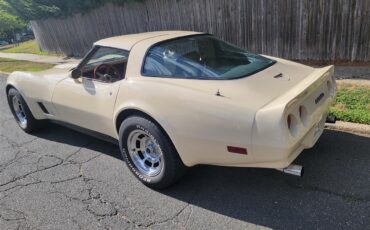 Chevrolet-Corvette-1981-Tan-Beige-31