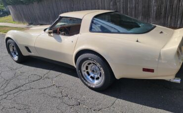 Chevrolet-Corvette-1981-Tan-Beige-32