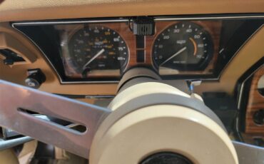 Chevrolet-Corvette-1981-Tan-Beige-34