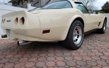 Chevrolet-Corvette-1981-Tan-Beige