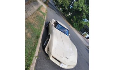 Chevrolet-Corvette-1981-Tan-Beige-4