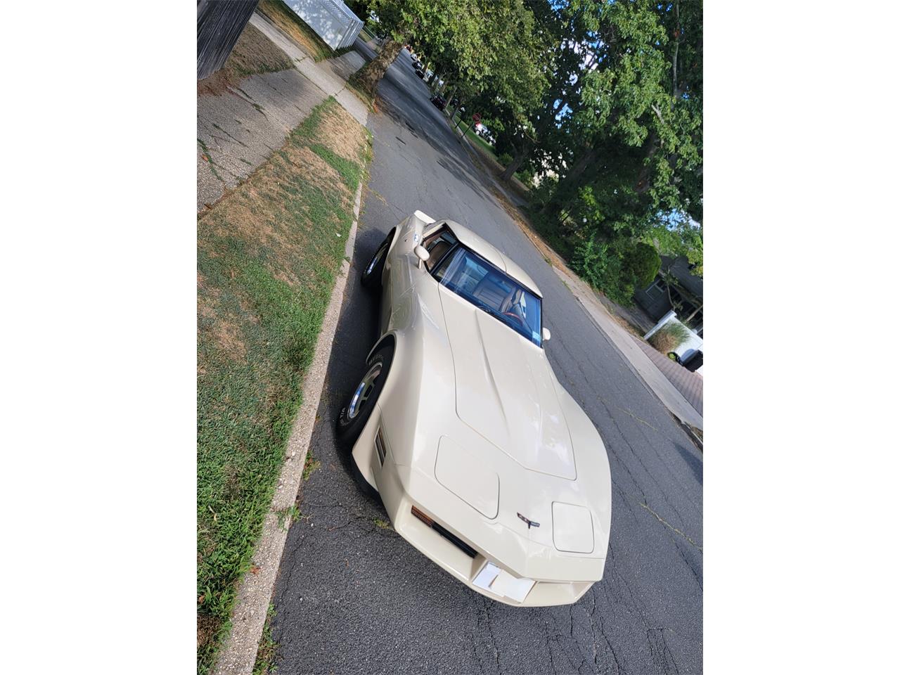 Chevrolet-Corvette-1981-Tan-Beige-4