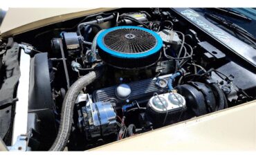 Chevrolet-Corvette-1981-Tan-Beige-6