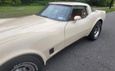 Chevrolet-Corvette-1981-Tan-Beige-7