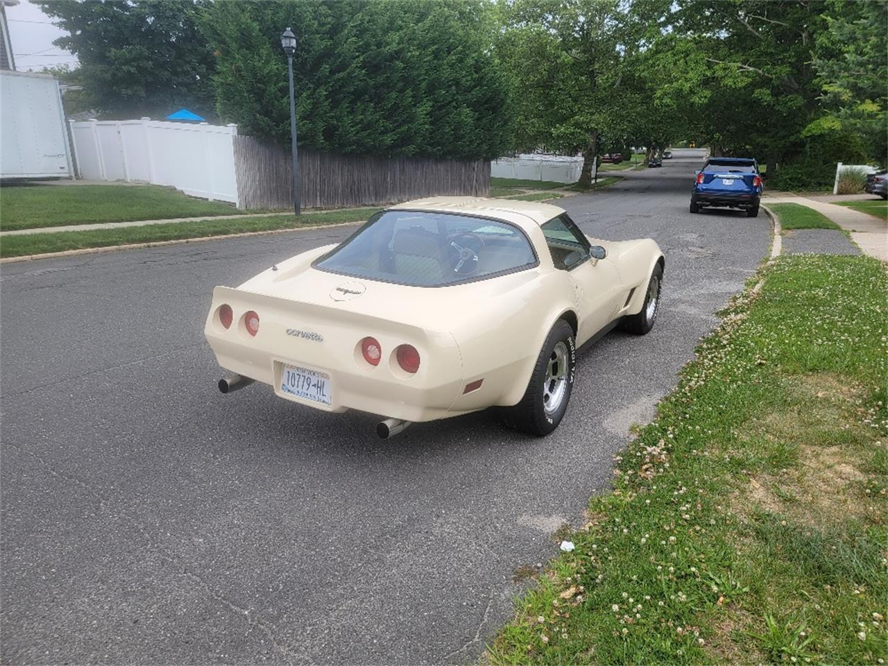 Chevrolet-Corvette-1981-Tan-Beige-8
