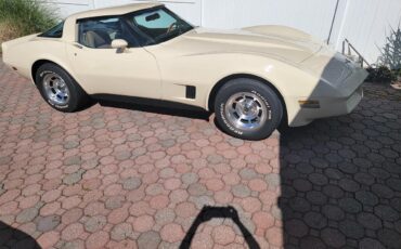 Chevrolet-Corvette-1981-Tan-Beige-9