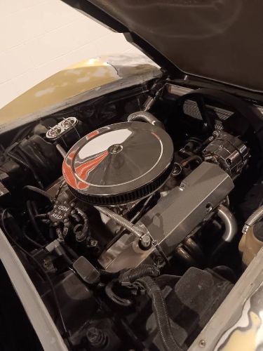 Chevrolet-Corvette-1981-White-2