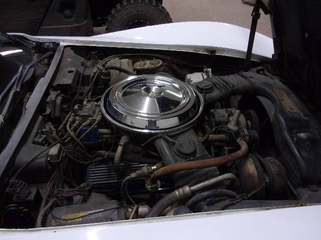 Chevrolet-Corvette-1981-White-3