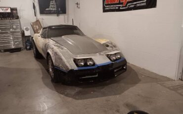 Chevrolet-Corvette-1981-White-6