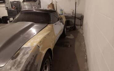 Chevrolet-Corvette-1981-White