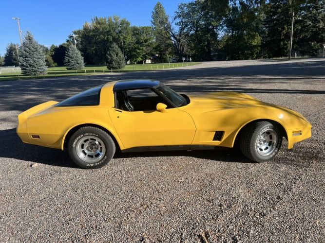 Chevrolet-Corvette-1981-Yellow-11