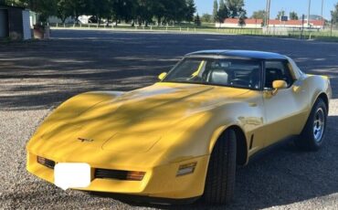 Chevrolet-Corvette-1981-Yellow-13