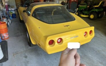Chevrolet-Corvette-1981-Yellow-2