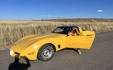 Chevrolet-Corvette-1981-Yellow-3