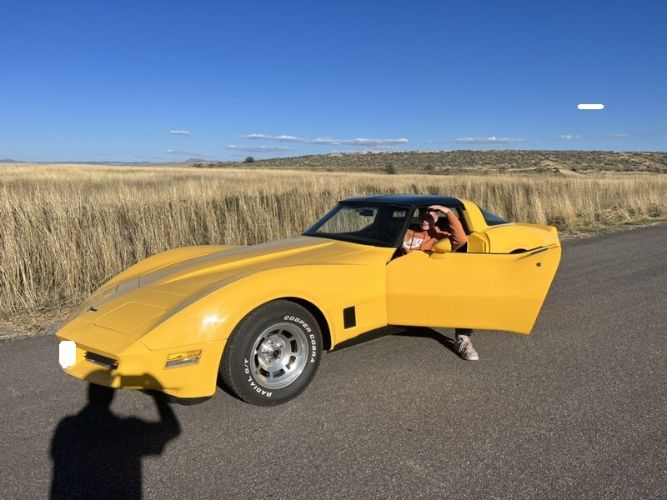 Chevrolet-Corvette-1981-Yellow-3