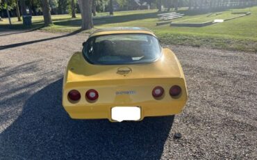 Chevrolet-Corvette-1981-Yellow-4