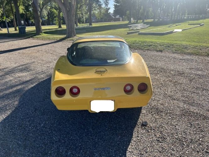 Chevrolet-Corvette-1981-Yellow-4