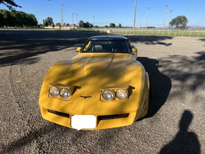 Chevrolet-Corvette-1981-Yellow-5