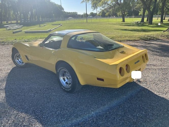 Chevrolet-Corvette-1981-Yellow-6