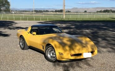 Chevrolet-Corvette-1981-Yellow-7