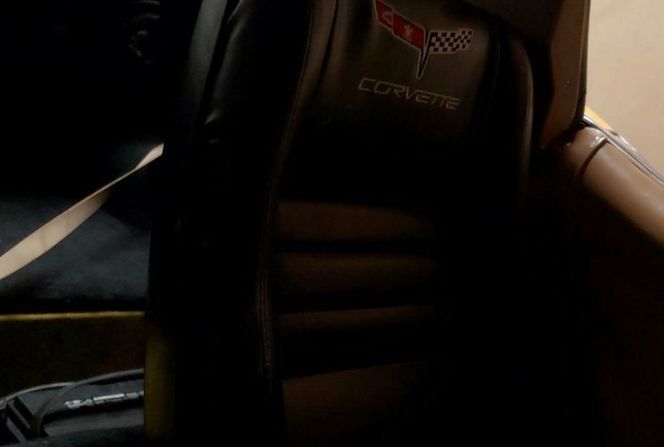 Chevrolet-Corvette-1981-Yellow-Black-1