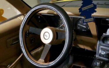 Chevrolet-Corvette-1981-Yellow-Black-3