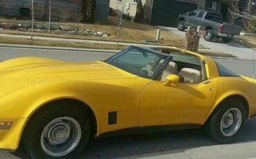 Chevrolet-Corvette-1981-Yellow-Black-6