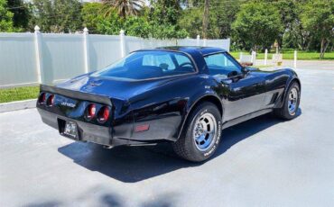 Chevrolet-Corvette-1981-black-15