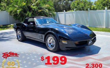 Chevrolet-Corvette-1981-black-24