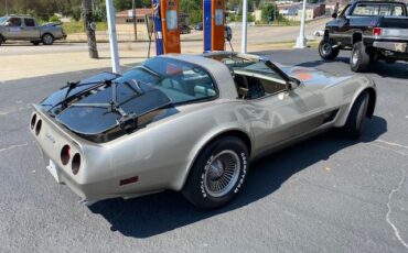Chevrolet-Corvette-1982-12