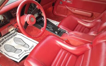 Chevrolet-Corvette-1982-14