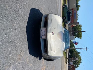 Chevrolet-Corvette-1982-8