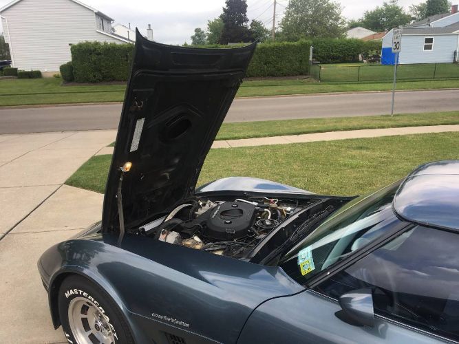 Chevrolet-Corvette-1982-Blue-9