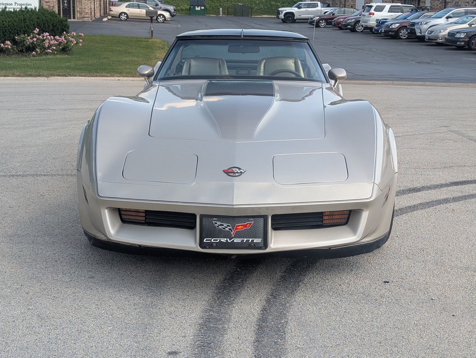 Chevrolet-Corvette-1982-Coupe-12