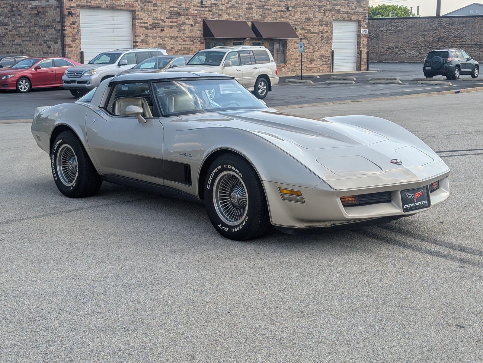 Chevrolet-Corvette-1982-Coupe-13