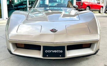 Chevrolet-Corvette-1982-Hatchback-1