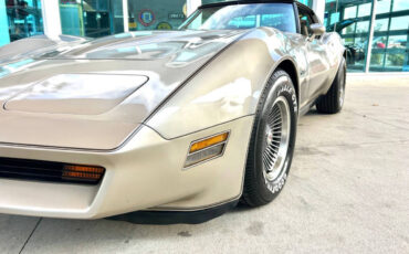 Chevrolet-Corvette-1982-Hatchback-11