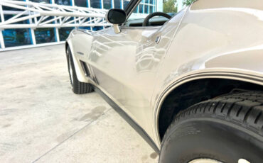 Chevrolet-Corvette-1982-Hatchback-13