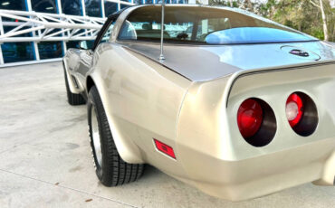 Chevrolet-Corvette-1982-Hatchback-14