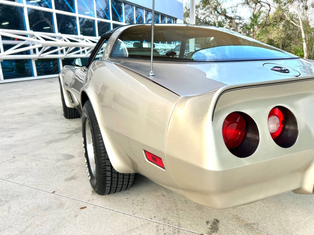 Chevrolet-Corvette-1982-Hatchback-14