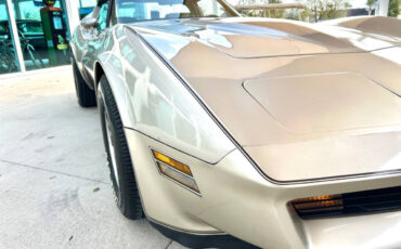Chevrolet-Corvette-1982-Hatchback-18