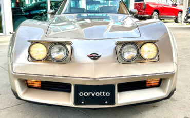 Chevrolet-Corvette-1982-Hatchback-2
