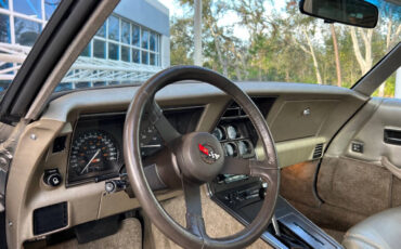 Chevrolet-Corvette-1982-Hatchback-24